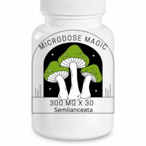 Semilanceata Shroom