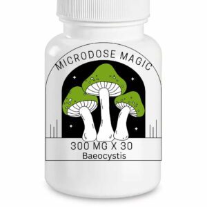 Baeocystis Shroom